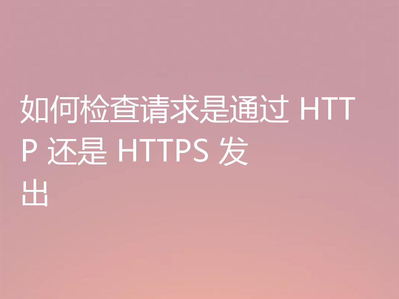 如何检查请求是通过 HTTP 还是 HTTPS 发出