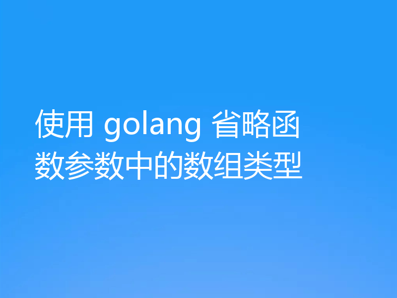 使用 golang 省略函数参数中的数组类型