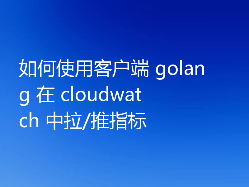 如何使用客户端 golang 在 cloudwatch 中拉/推指标
