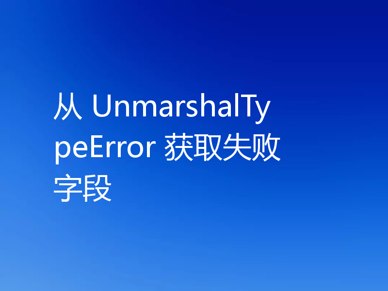 从 UnmarshalTypeError 获取失败字段