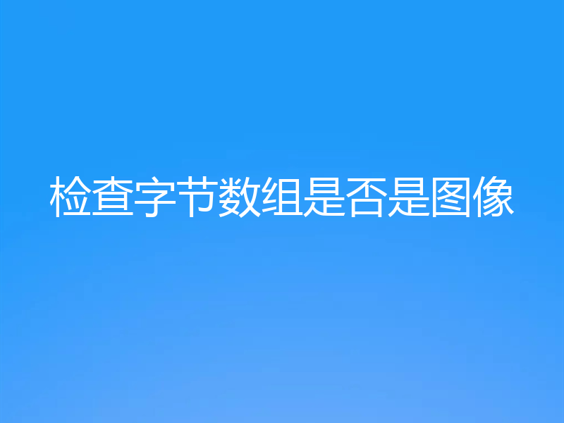 检查字节数组是否是图像