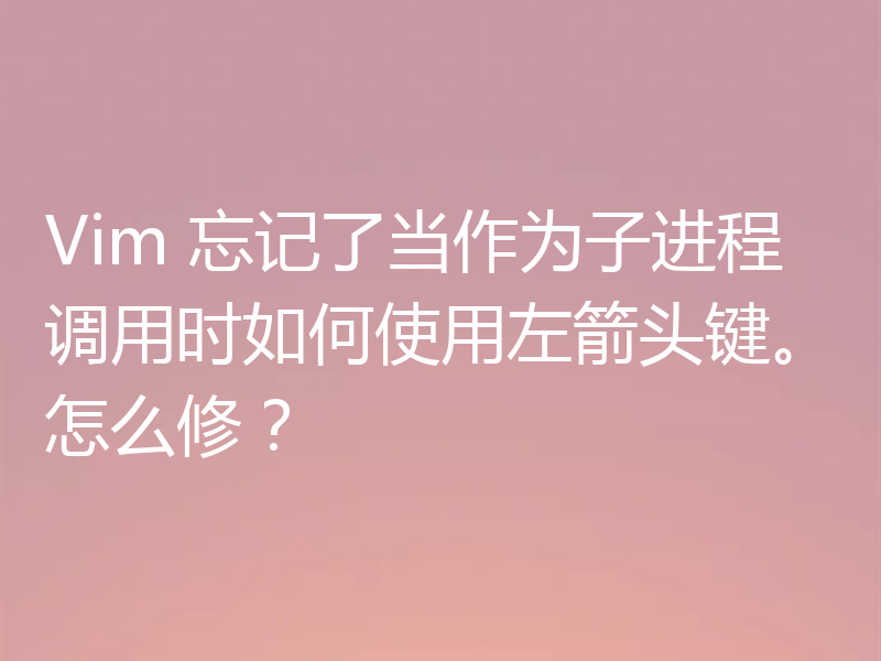 Vim 忘记了当作为子进程调用时如何使用左箭头键。怎么修？