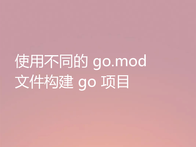 使用不同的 go.mod 文件构建 go 项目