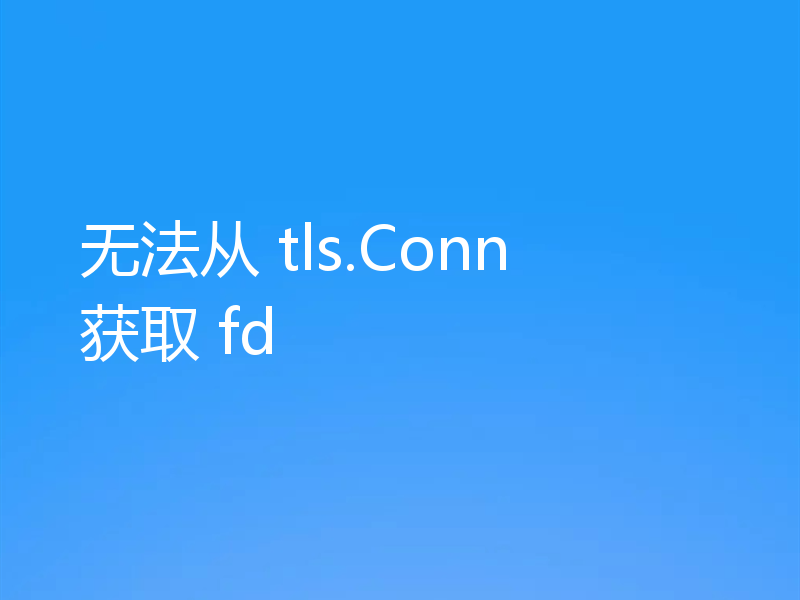 无法从 tls.Conn 获取 fd