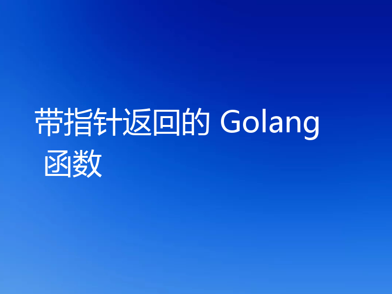 带指针返回的 Golang 函数