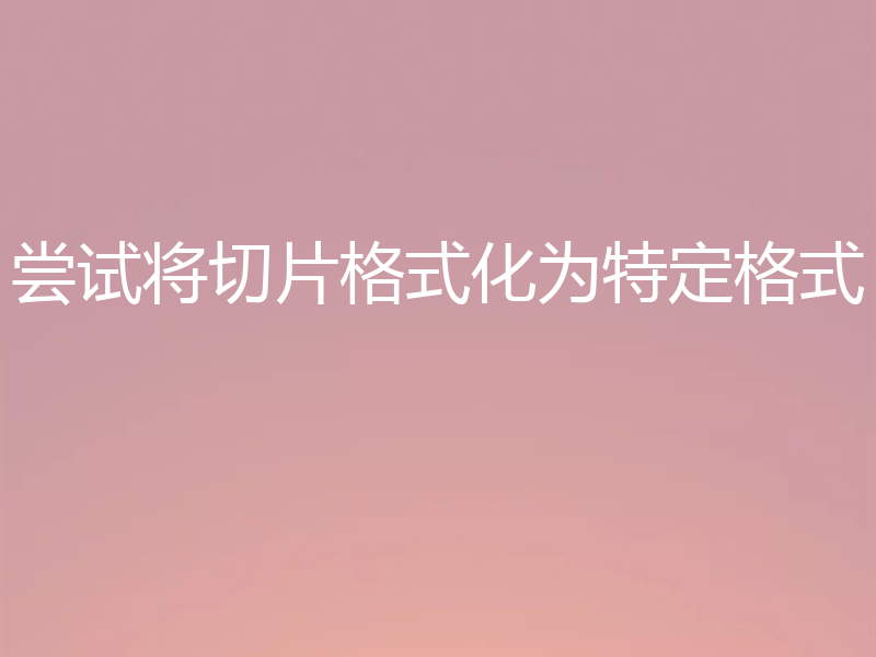 尝试将切片格式化为特定格式