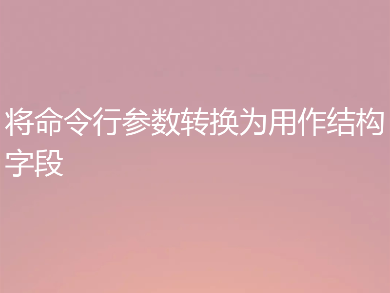 将命令行参数转换为用作结构字段