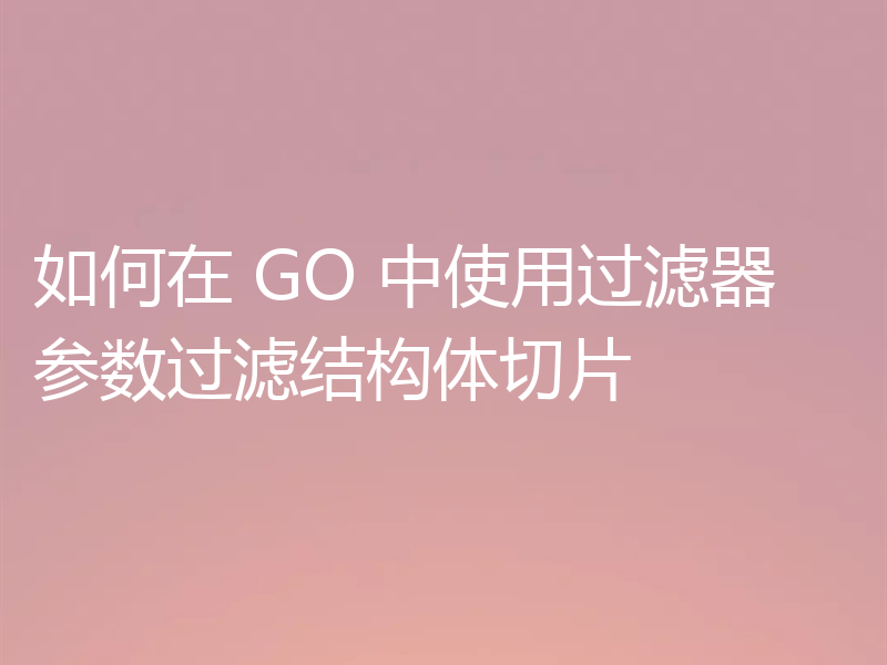 如何在 GO 中使用过滤器参数过滤结构体切片