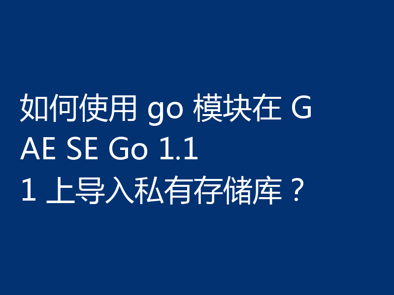如何使用 go 模块在 GAE SE Go 1.11 上导入私有存储库？