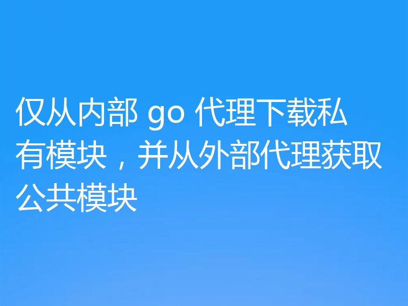 仅从内部 go 代理下载私有模块，并从外部代理获取公共模块