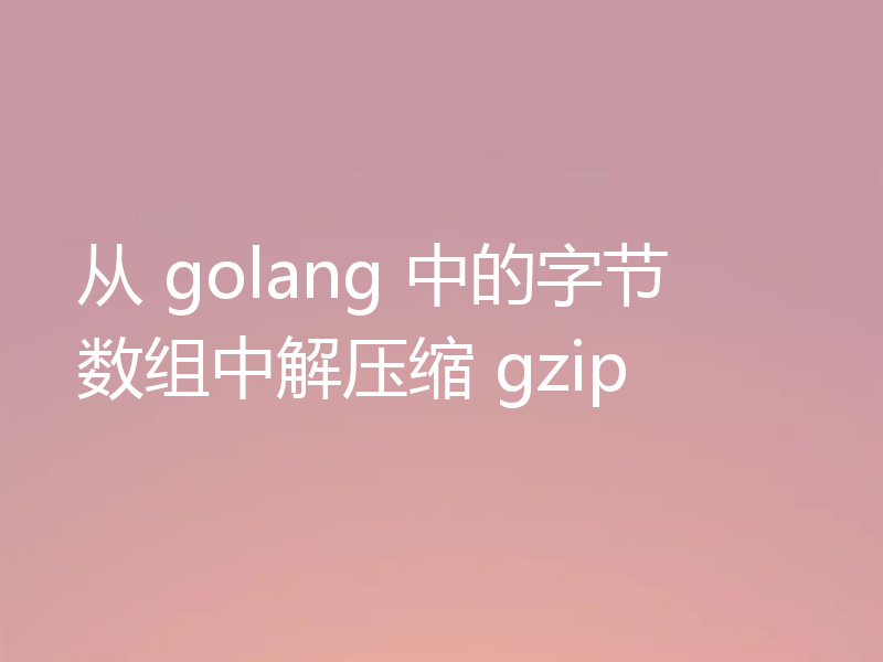 从 golang 中的字节数组中解压缩 gzip