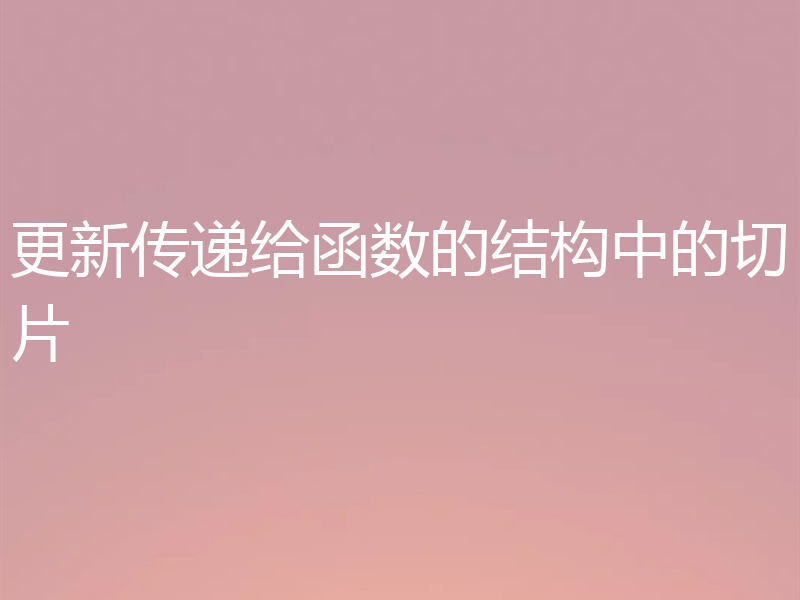 更新传递给函数的结构中的切片