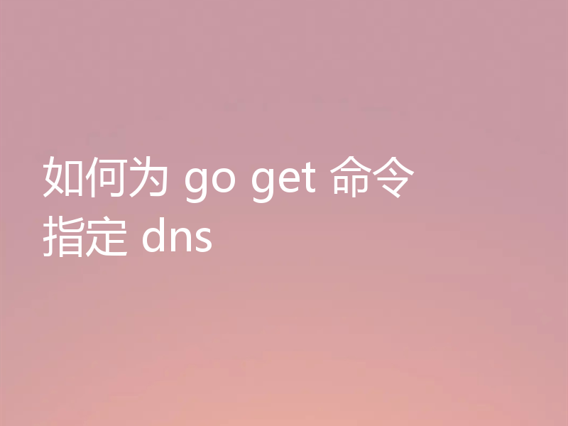 如何为 go get 命令指定 dns