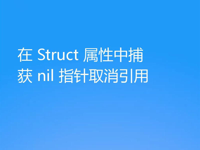 在 Struct 属性中捕获 nil 指针取消引用
