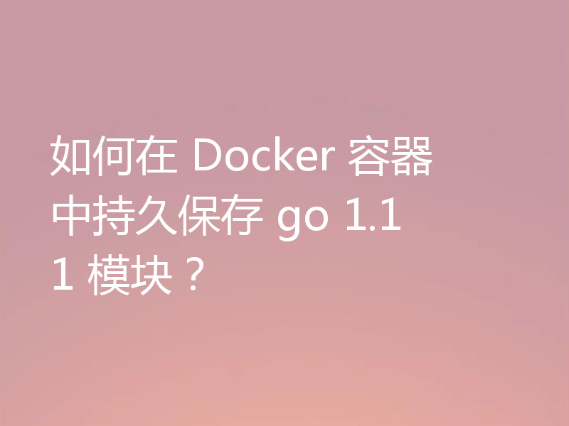 如何在 Docker 容器中持久保存 go 1.11 模块？