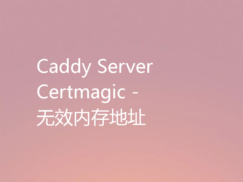 Caddy Server Certmagic - 无效内存地址