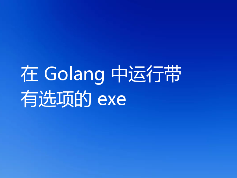 在 Golang 中运行带有选项的 exe