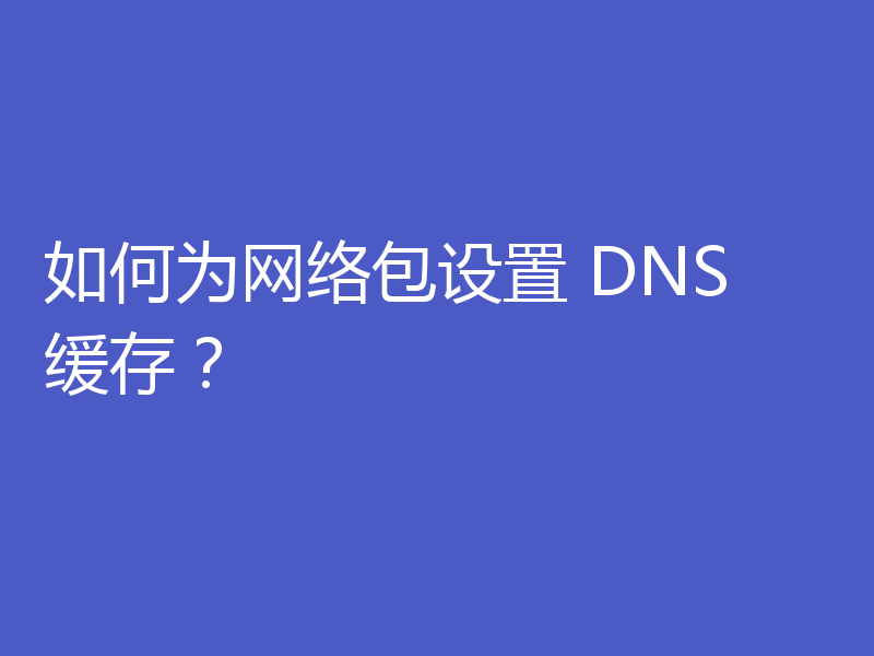 如何为网络包设置 DNS 缓存？