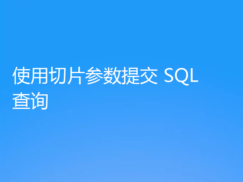 使用切片参数提交 SQL 查询