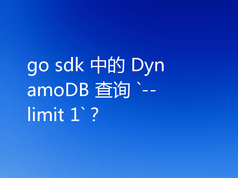 go sdk 中的 DynamoDB 查询 `--limit 1`？