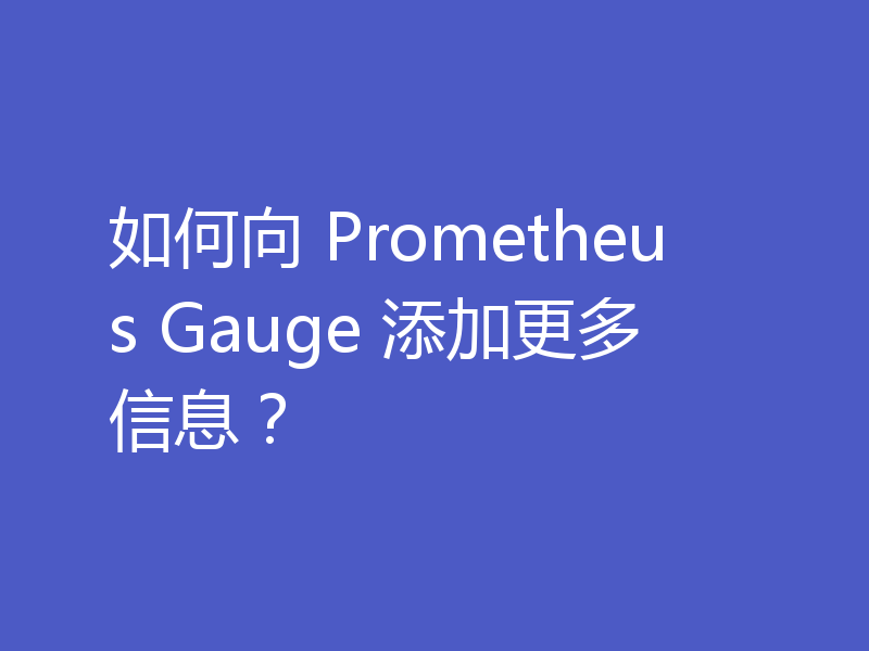 如何向 Prometheus Gauge 添加更多信息？