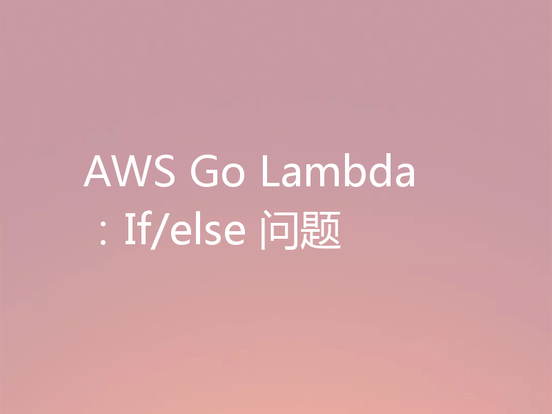 AWS Go Lambda：If/else 问题