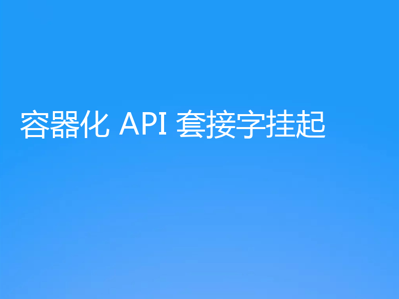 容器化 API 套接字挂起