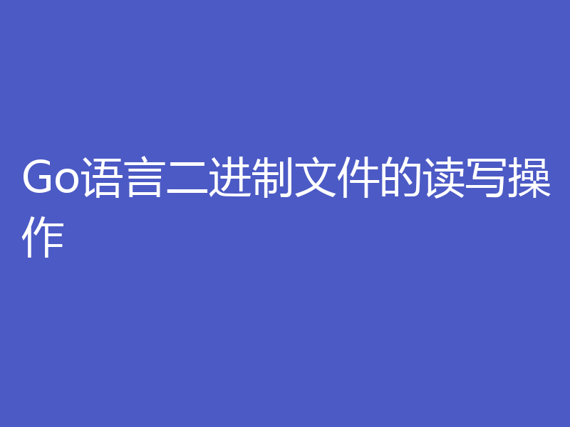 Go语言二进制文件的读写操作