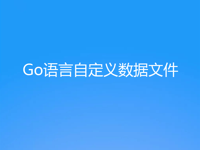 Go语言自定义数据文件