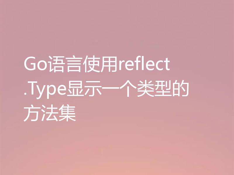 Go语言使用reflect.Type显示一个类型的方法集