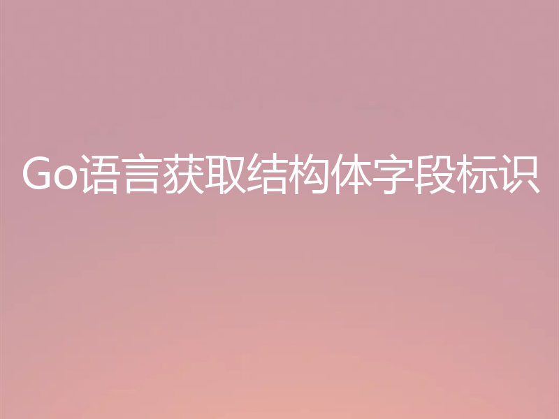 Go语言获取结构体字段标识