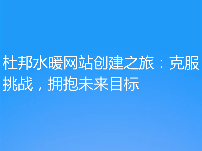杜邦水暖网站创建之旅：克服挑战，拥抱未来目标