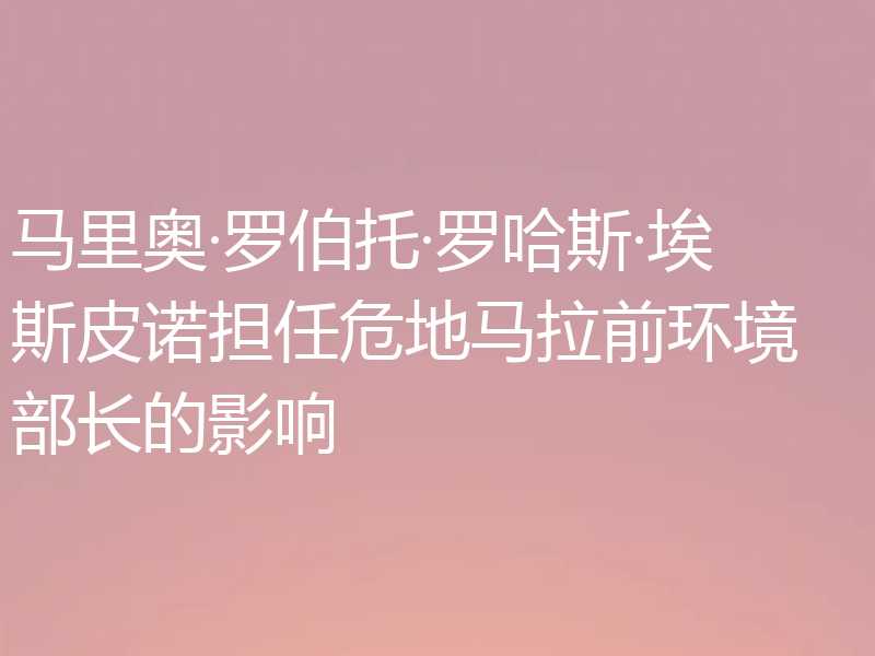 马里奥·罗伯托·罗哈斯·埃斯皮诺担任危地马拉前环境部长的影响