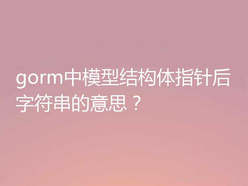 gorm中模型结构体指针后字符串的意思？