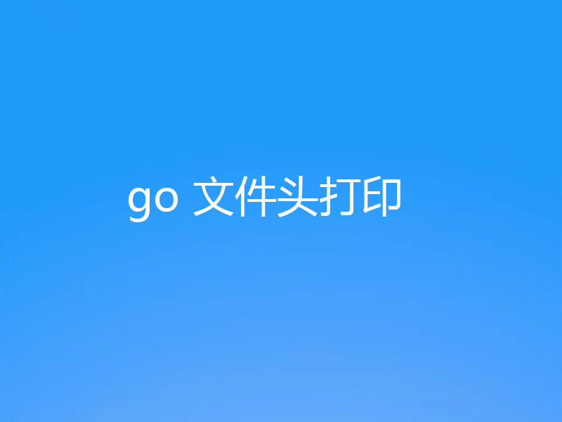 go 文件头打印