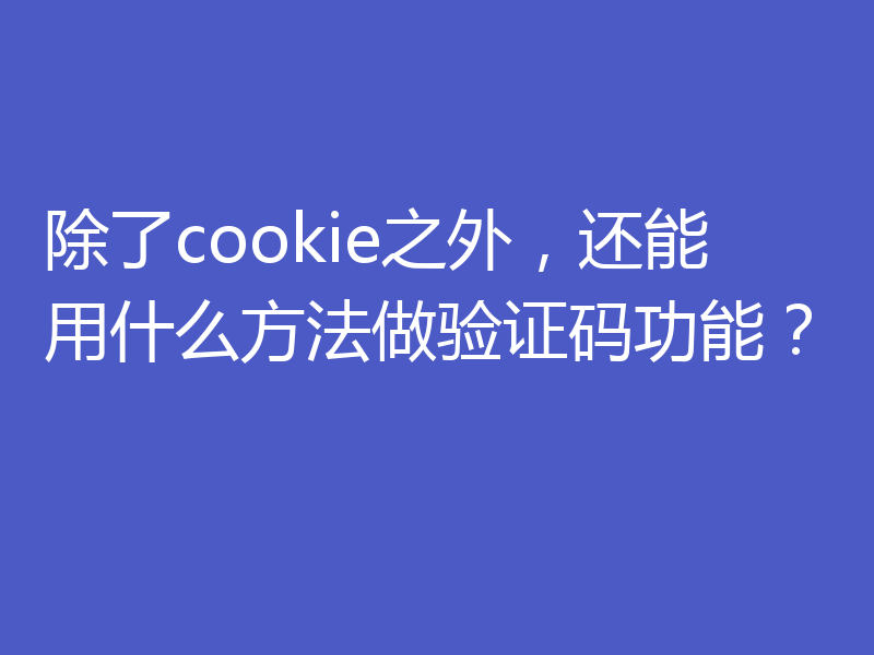 除了cookie之外，还能用什么方法做验证码功能？