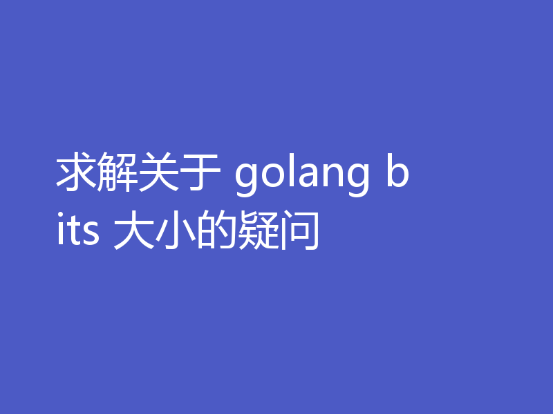 求解关于 golang bits 大小的疑问