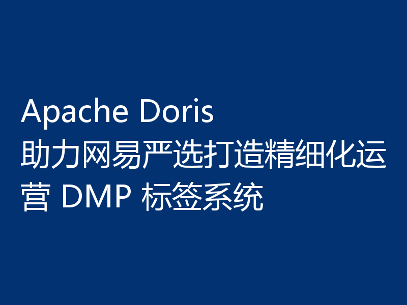 Apache Doris 助力网易严选打造精细化运营 DMP 标签系统