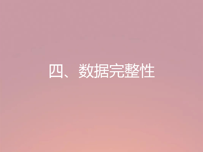 四、数据完整性
