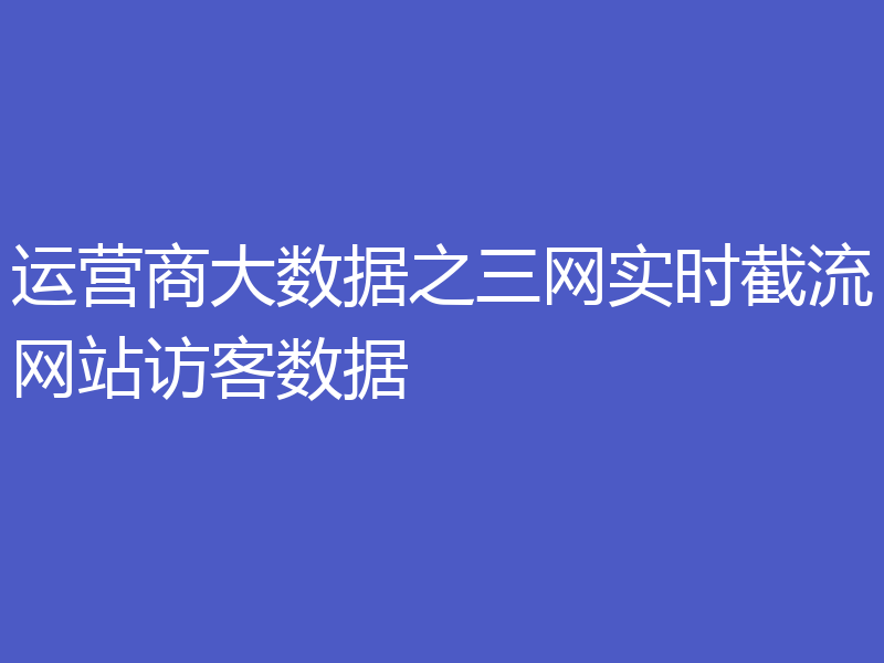 运营商大数据之三网实时截流网站访客数据