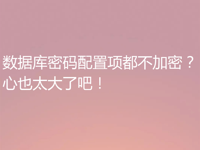 数据库密码配置项都不加密？心也太大了吧！