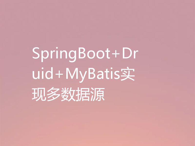 SpringBoot+Druid+MyBatis实现多数据源