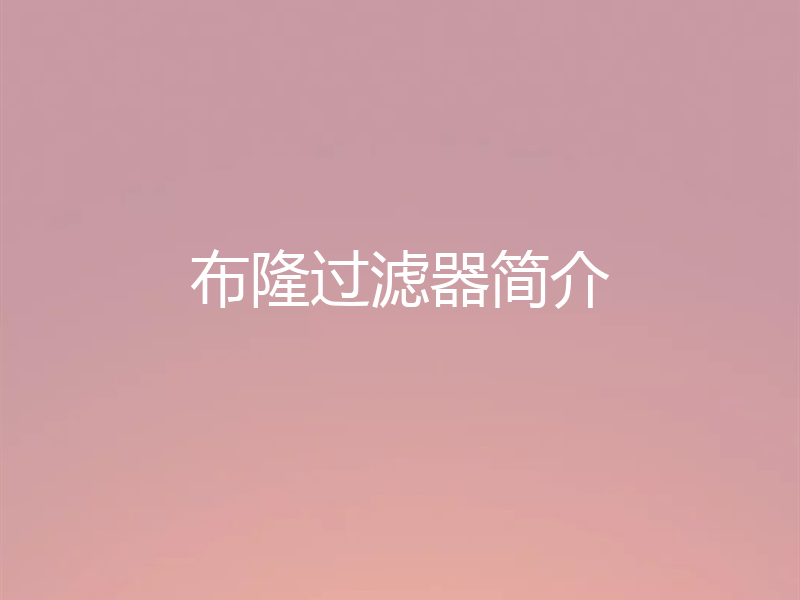 布隆过滤器简介