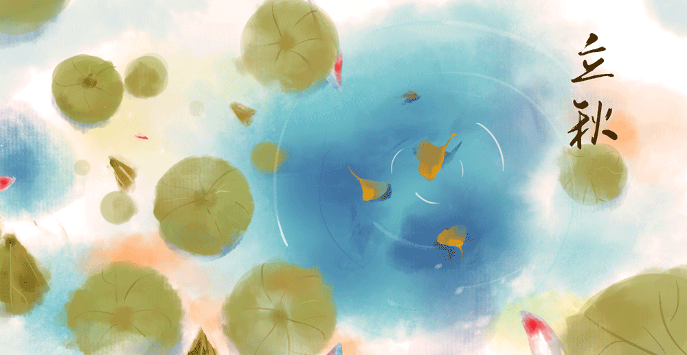 手把手带你走进Go语言之条件表达式