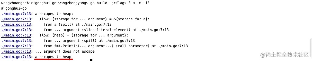 Go逃逸分析示例详解
