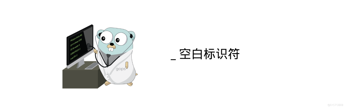 Go 中的空白标识符下划线