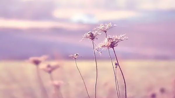 MySQL 中的 insERT 是怎么加锁的？