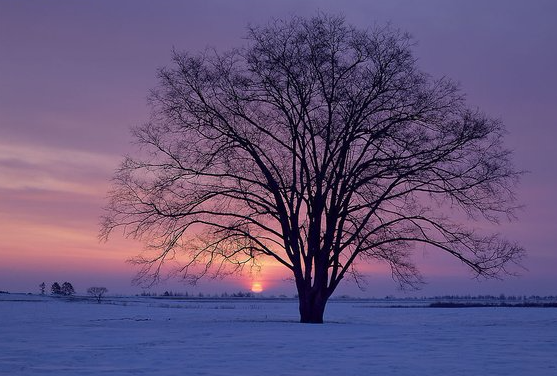 图片描述 图片描述