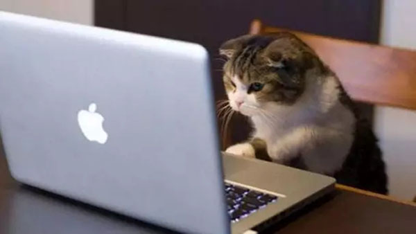 一文教你彻底拿下Redis数据库