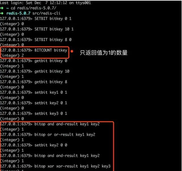 为啥Redis10亿数据量只要100MB内存？